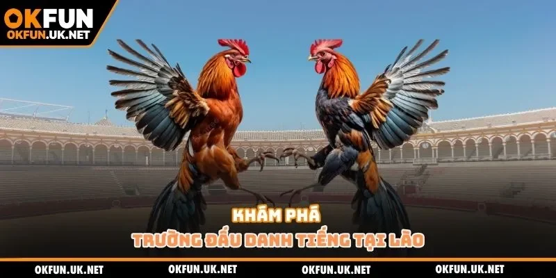 Khám phá trường đấu danh tiếng tại Lào