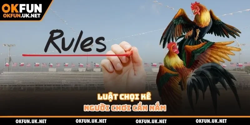 Luật chọi kê người chơi cần nắm