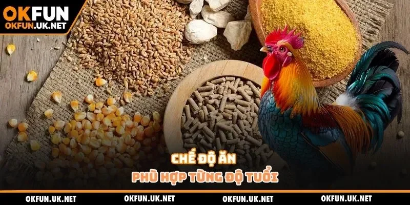 Chế độ ăn phù hợp từng độ tuổi