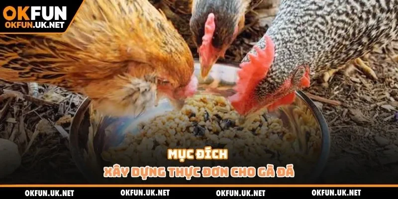 Mục đích xây dựng thực đơn cho gà đá