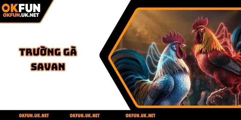 Trường gà Savan